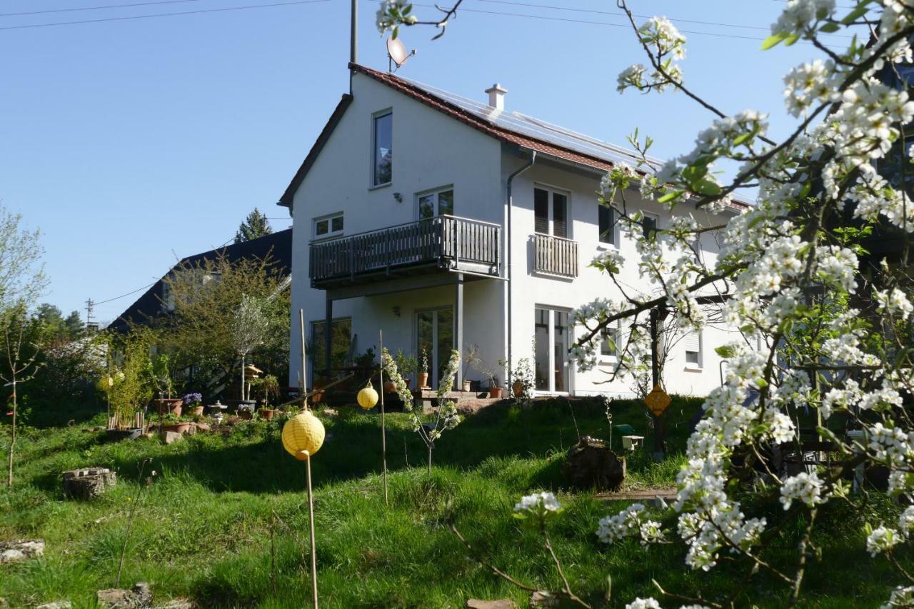 Otterhaus Apartment Trippstadt Exterior foto